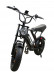Электровелосипед Samik BK20 Mini