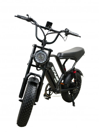 Электровелосипед Samik BK20 Mini